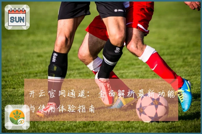 开云官网通道：全面解析最新功能与使用体验指南
